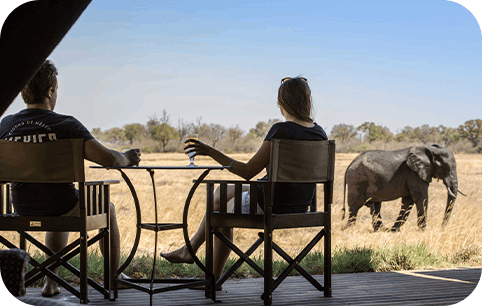 Safari Honeymoon