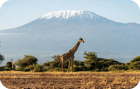Tanzania