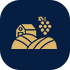 Vineyard Tours