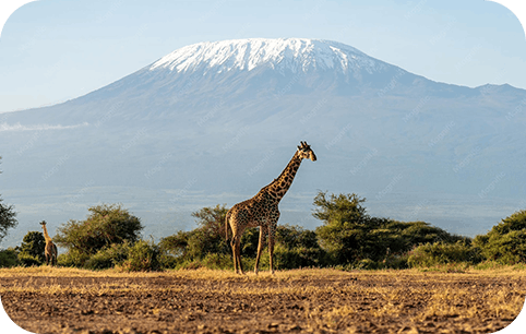 Kenya