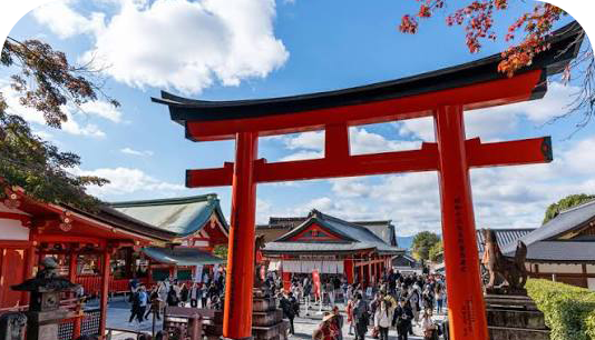 8-Day Japan Innovation