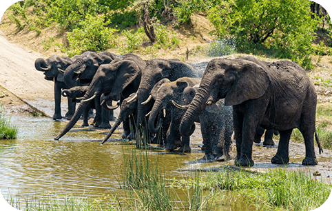 Botswana