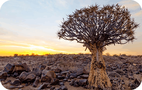 Namibia