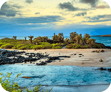 Ecuador & Galápagos
