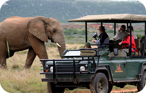Africa