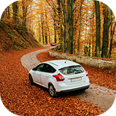 Autumn