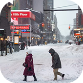 Winter